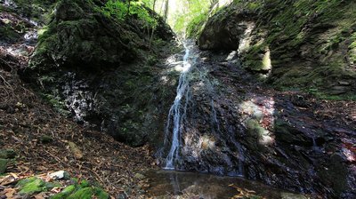 🌊 부동 폭포 (후도노타키) 이미지 2